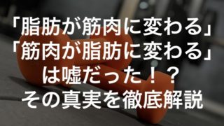 「脂肪が筋肉に変わる」「筋肉が脂肪に変わる」は嘘！？その真実を徹底解説