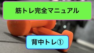 背中トレ完全マニュアル1