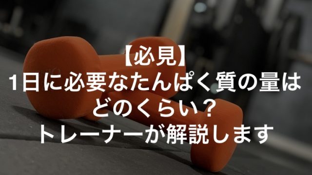 【必見】1日に必要なたんぱく質の量はどのくらい？トレーナーが解説します