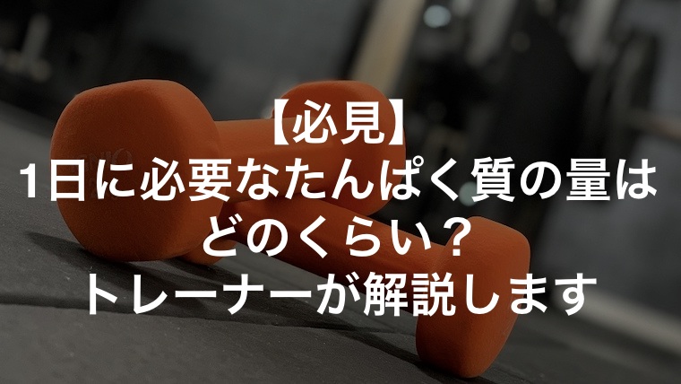 【必見】1日に必要なたんぱく質の量はどのくらい？トレーナーが解説します